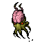 Brain Squid